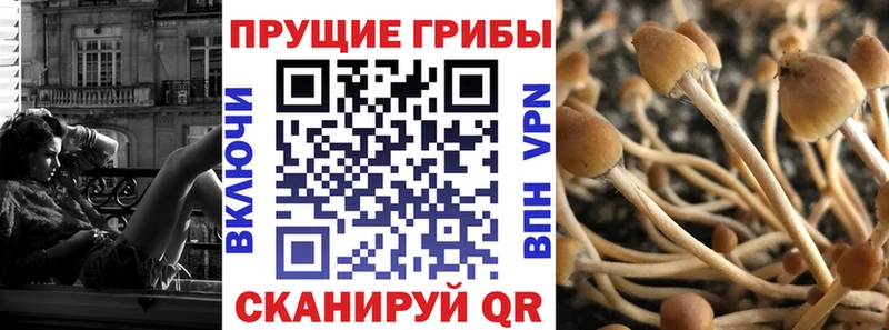 Галлюциногенные грибы MAGIC MUSHROOMS  Гудермес 